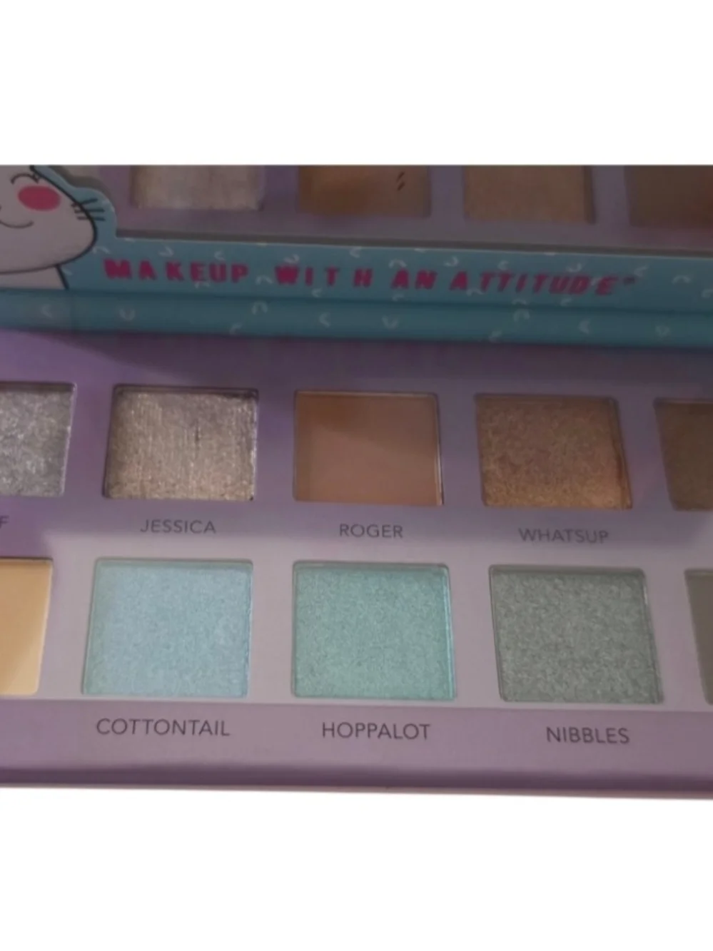 These are Rude Cosmetics Party Animals eyeshadow palettes,the 